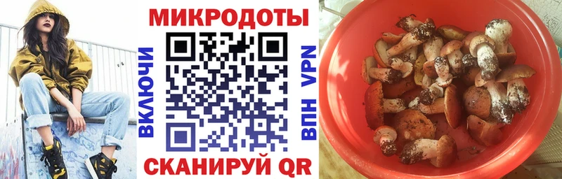 Галлюциногенные грибы Psilocybe  магазин продажи наркотиков  Переславль-Залесский 